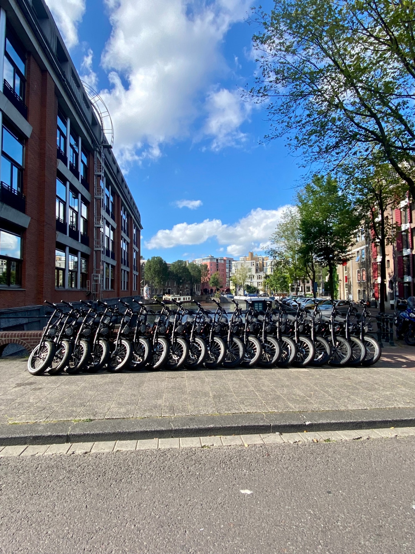 Fatbikes huren voor groepen, foto 1