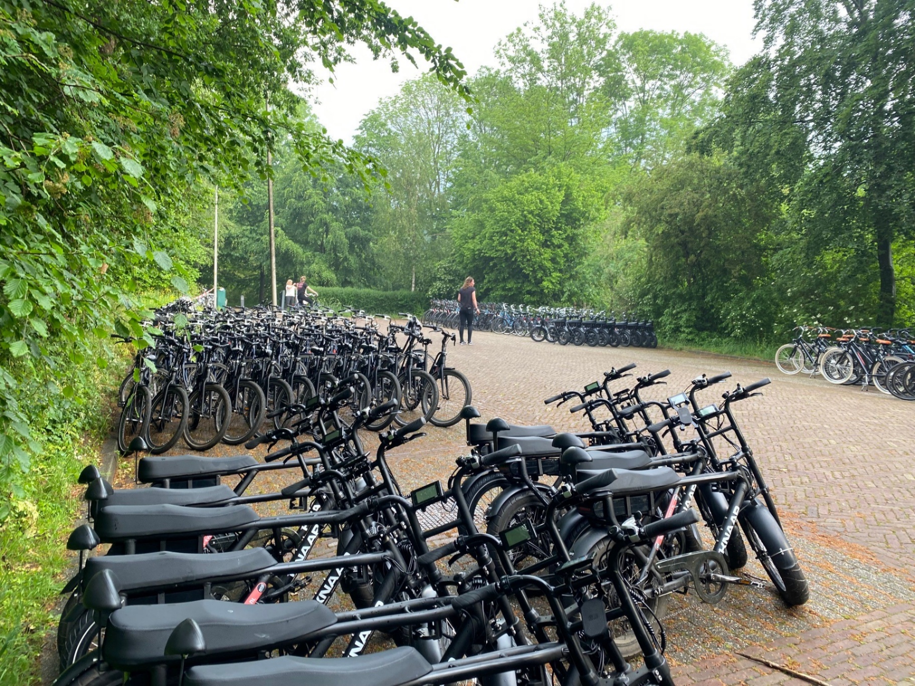 Fatbikes huren in Den Helder