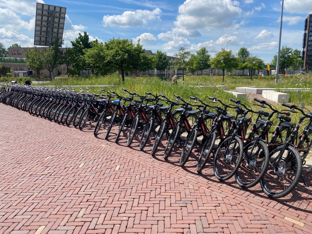 Groep fietsen klaar voor verhuur aan bedrijven in Nederland
