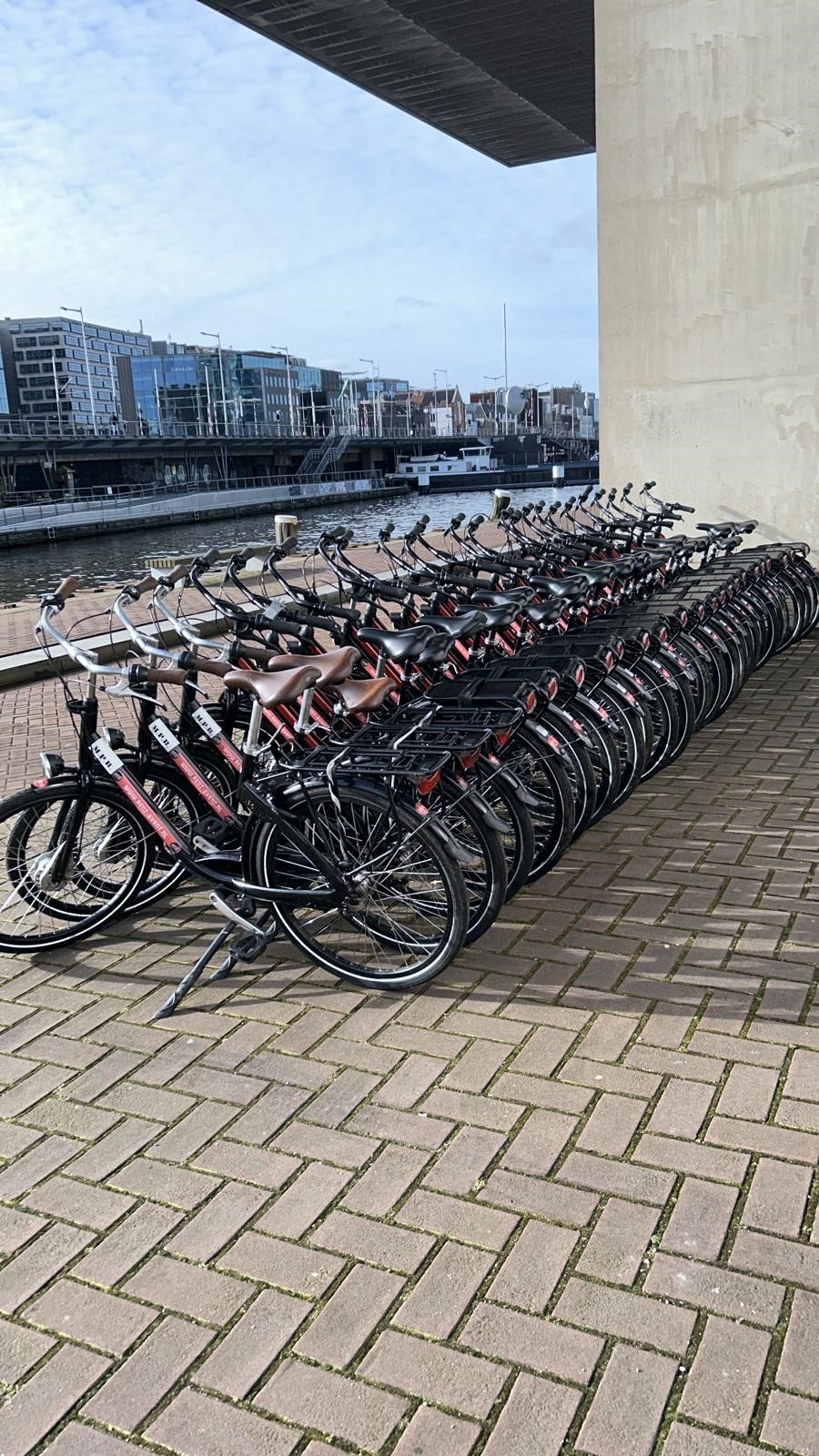 Fietsen huren voor groepen, foto 1