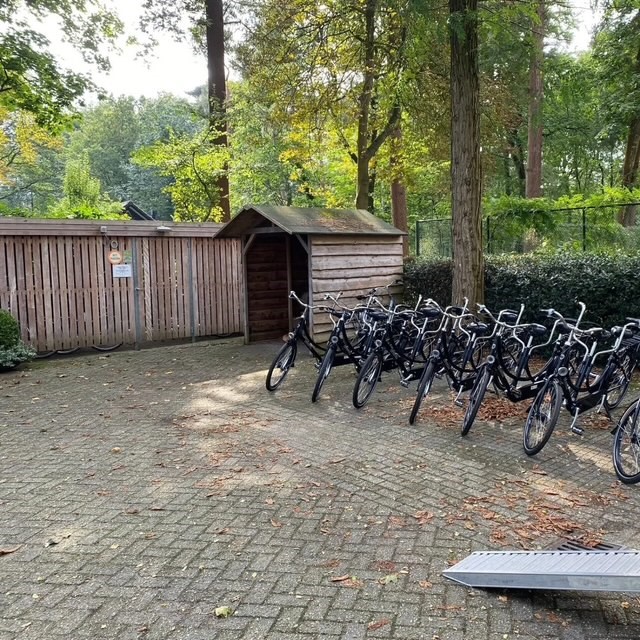 Tandems huren voor groepen, foto 2